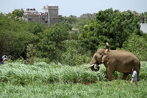 For representational purpose (Prakash Chellamuthu | EPS)