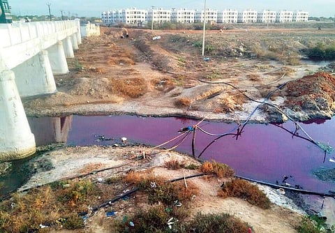 The Upparu stream in Thoothukudi that turned pink due to discharge of untreated effluents | Express