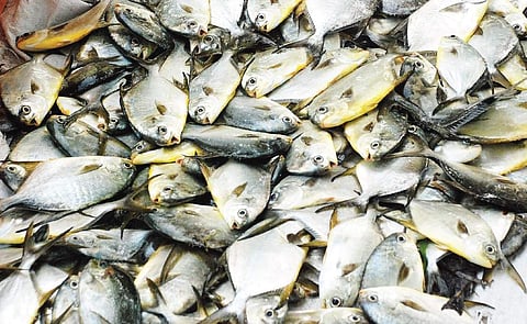 Image used for representational purpose.