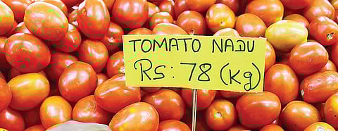 Tomato prices in the last few weeks have been fluctuating | Sunish P Surendran