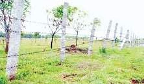 Govt welcomes HC verdict on Sadavarti Satram land case