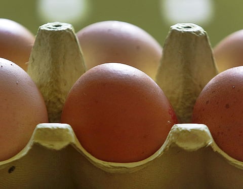 A major supermarket chain is removing all eggs from sale in its German stores amid a scare over possible pesticide contamination. (AP)