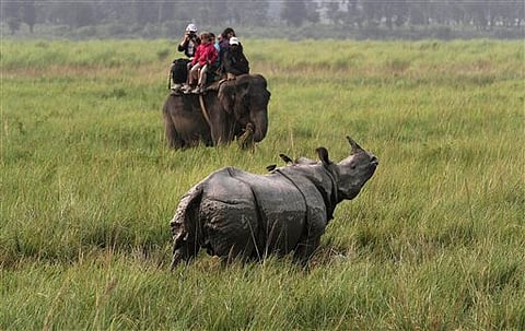 Kaziranga National Park (File | AP)
