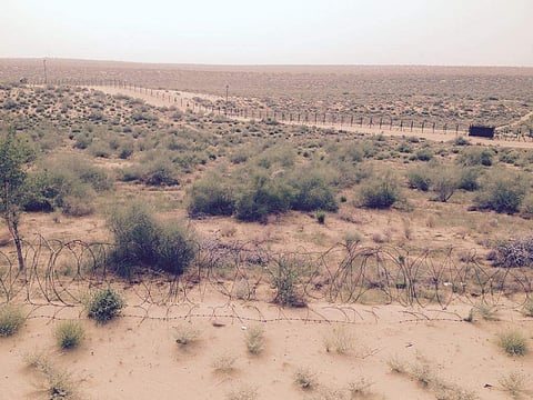 Cobra fencing has already been installed at some places in the Kishangarh area in Jaisalmer. | (Vikram Sharma | EPS)
