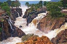 Rain-swollen River Cauvery living up to its glory at Hogenakkal in Dharmapuri | Express