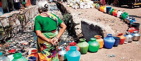 Why pollute when you can conserve