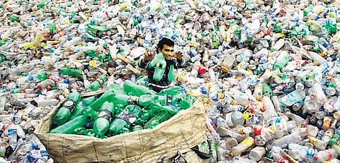 We must not let plastic pollute and perish our planet