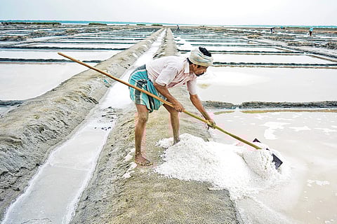 All that’s white is salt