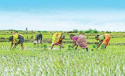 Development plan to double farmers’ income