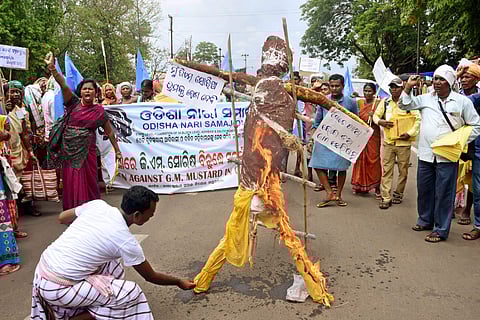 Farmers and activists staging a protest over GM mustard seeds in Bhubaneswar. (File Photo | EPS)