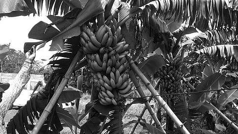 Image for representational purpose only.