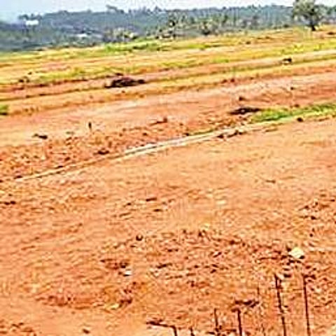 Telugu terms soon to replace Pahani, Sethwaris