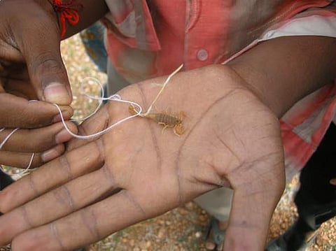 Image used for representational purpose only (EPS)