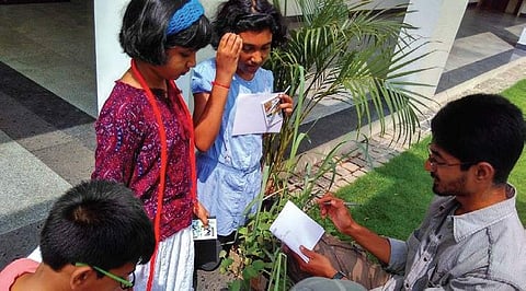 Witch is on hunt for herbs to make potions