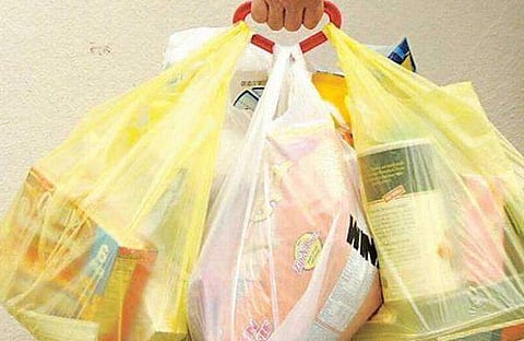 Maharashtra govt planning to ban plastic carry bags from next year: Environment minister