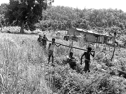 Villagers of Adangi carry a patient in a bamboo basket to Mediakia and women of Sesergaon collecting water from the nullah | Express