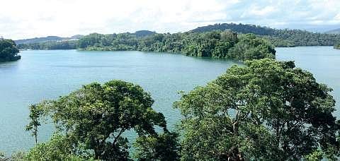 After monsoon, Neyyar attracts tourist again.