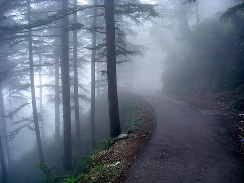 Director of Bhubaneswar Meteorological Centre Manorama Mohanty said, Daringbadi was the coldest on the day at 11 degree Celsius.