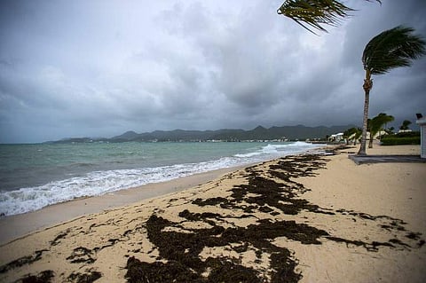 A view of the Baie Nettle beach in Marigot, with the wind blowing ahead of the arrival of Hurricane Irma. (Photo | AFP)