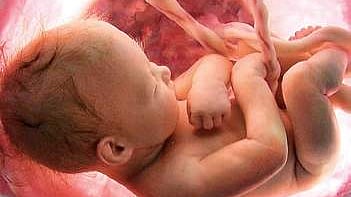 As per the circular issued in the first week of April, the raids have to be carried out in coordination with the Joint Director of Health Services to strengthen the Pre-Conception and Pre-Natal Diagnostic Techniques (PCPNDT) Act.