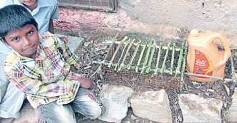 Helping these ‘poor cousins’ to migrate to a better future