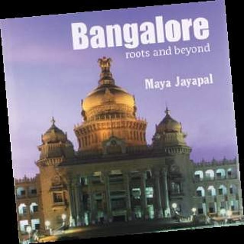 ‘Wish this was kinder, gentler city... like 25 yrs ago’