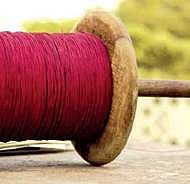 Despite ban, Chinese Manja continues to trap Hyderabad birds