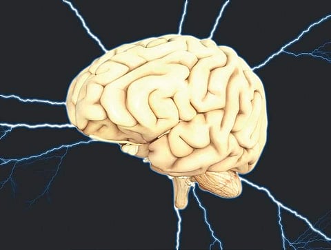Students to work on AI that mimics brain