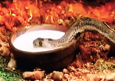 A still from Padaiyappa