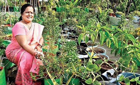 Kanchan Jayakumar in her terrace garden Ashwin Prasath