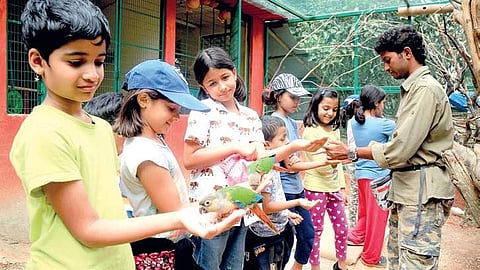 A fairy ‘tail’ land of animals