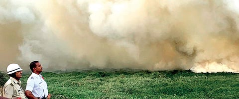 Bellandur lake, once a birder’s paradise