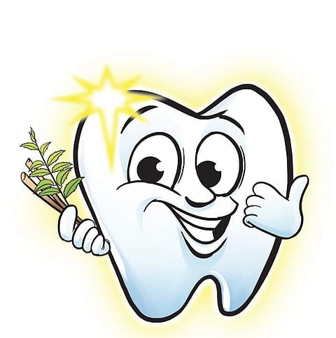 Brushing teeth with neem sticks not a bad idea as it kills oral bacteria