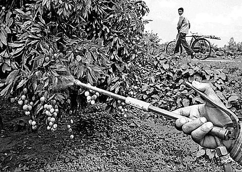 Image used for representational purposes only