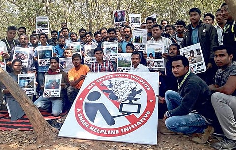 Odisha: No selfie with wildlife campaign gains ground