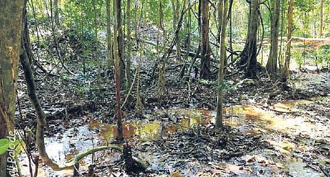 Image for representational purpose only.