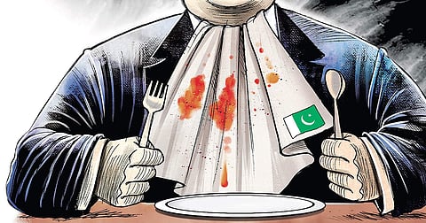 Trump’s Taunts rile Pakistan