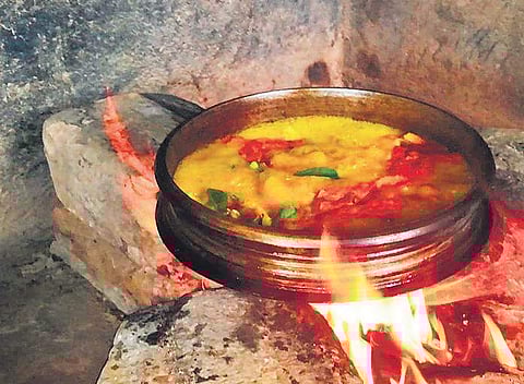 Diet Plans and Lifestyles