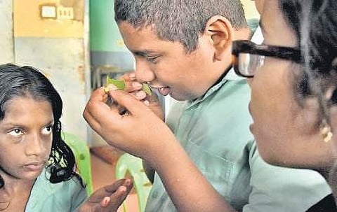 The students of the Government School for the Visually Impaired during the nature education camp B P Deepu