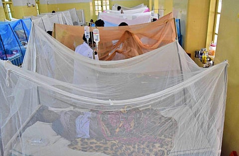 Until Thursday evening, the state Health Department reported a total of 441 H1N1 cases in Karnataka.