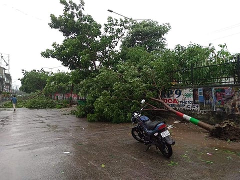 An uprooted tree after Cyclone Titli made a landfall in Odisha's Berhampur district. (Photo | Biswanath Swain/EPS)
