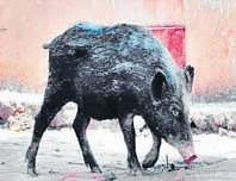 Image used for representational purpose only.