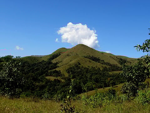 The Western Ghats (Photo | File/EPS)