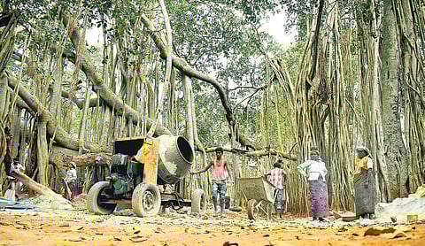 Pics: Pandarinath B/Construction of walking paths underway at the Big Banyan Tree, 28 km away from Bengaluru