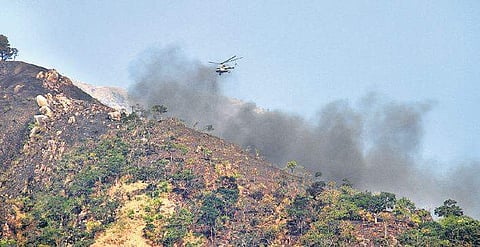 The Kurangani forest fire in Theni claimed the lives of 23 trekkers. | (File | EPS)