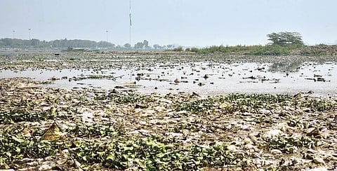 File picture of water contaminated with sewerage in Hussainsagar