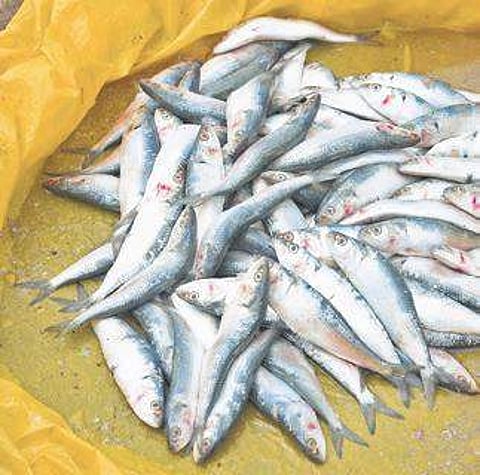 Image used for representational purpose only.