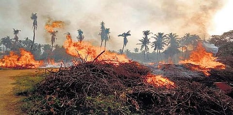 A file picture of fire at Indira Park on Tuesday