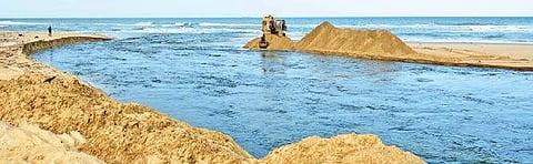 Desilting work in progress at the Adyar river mouth. (Photo| D Sampathkumar)