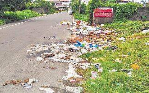 The waste dumped on the wayside Express